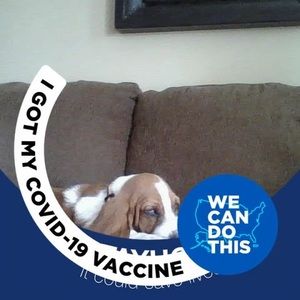 Meet your Posher, Judy